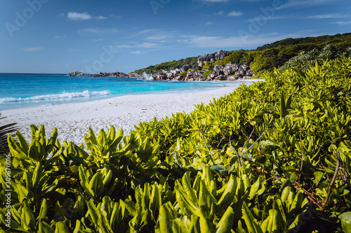 Grand Anse beach at La Digue island in Seychelles. White sandy beach with blue ocean lagoon. Green defocused foliage leaves in foreground
