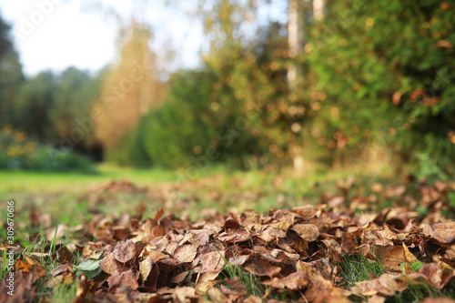 End of summer season in the park