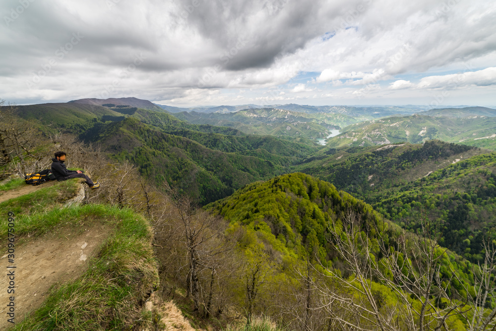 Green spring trees in the  Casentino Forests National Park