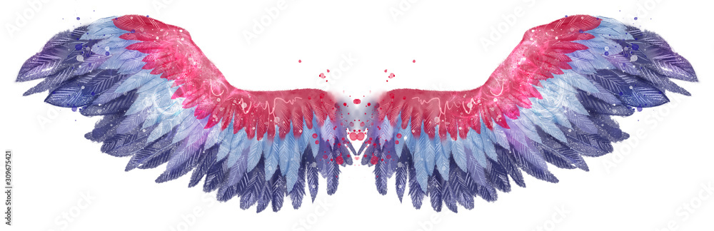 Fototapeta Magiczne piękne niebieskie bordowe akwarelowe skrzydła