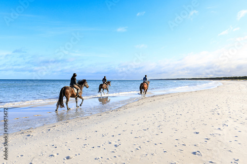 Fototapeta Naklejka Na Ścianę i Meble -  Einsame Reiter am Strand der Ostsee, Darß