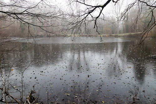 Kraichsee mit geforener Eisdecke im Stromberg bei Oberderdingen photo