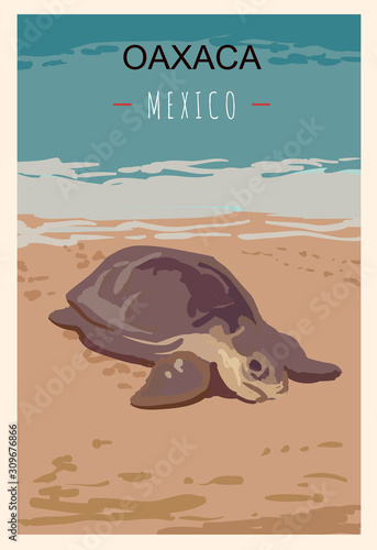 Oaxaca turtle retro poster. Oaxaca travel illustration. States of Mexico