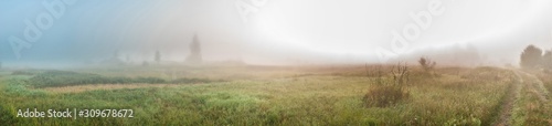foggy morning in the village. meadow, grass, low visibility