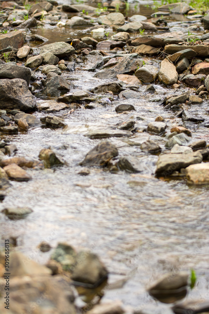 Small mountain stream running over rocks and moss.