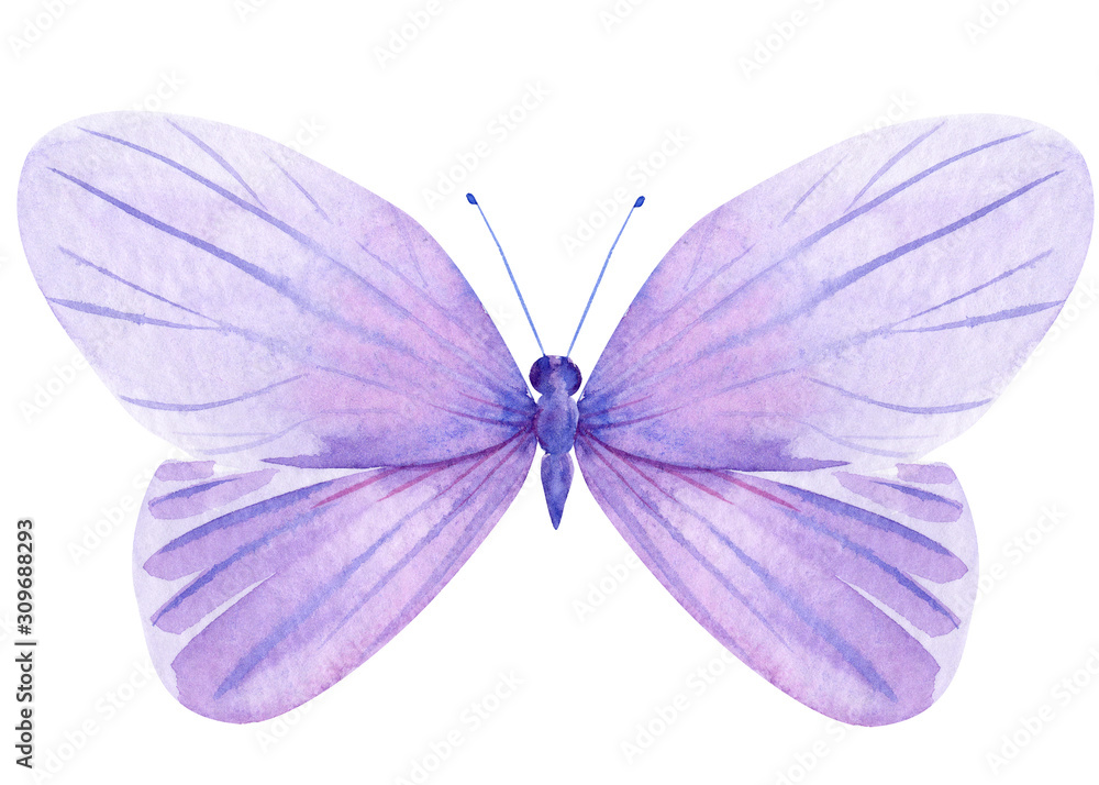lavender butterfly on an isolated white background, watercolor lavender butterfly on an isolated white background, watercolor