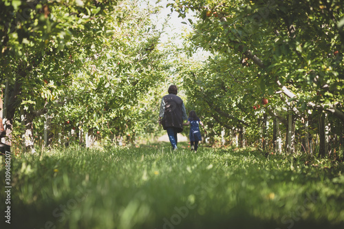 Grandma and granddaughter in the orchard