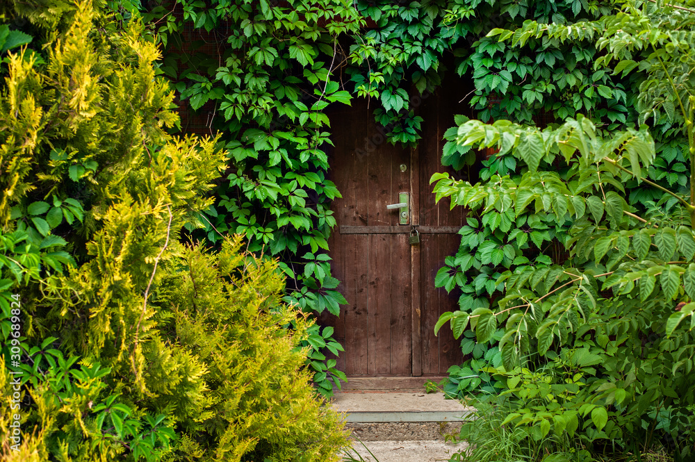 mysterious door in a green garden mysterious door in a green garden
