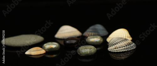Seashells  glass rocks stones  marbles decorations
