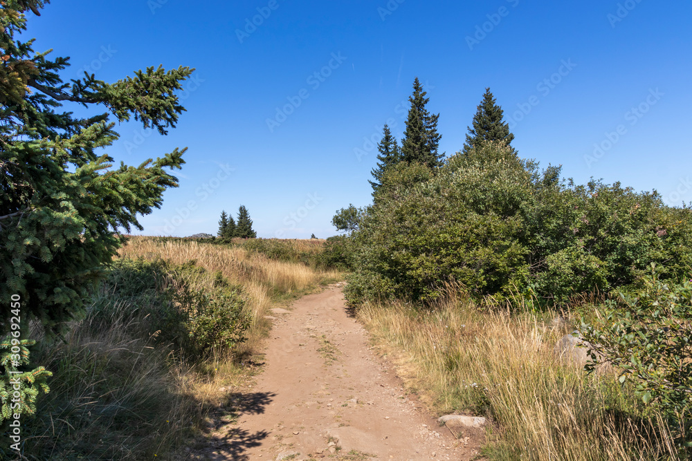 Autumn view of Vitosha Mountain, Bulgaria Autumn view of Vitosha Mountain, Bulgaria