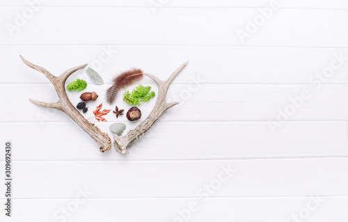 Deer horns in a heart shape on white wooden background