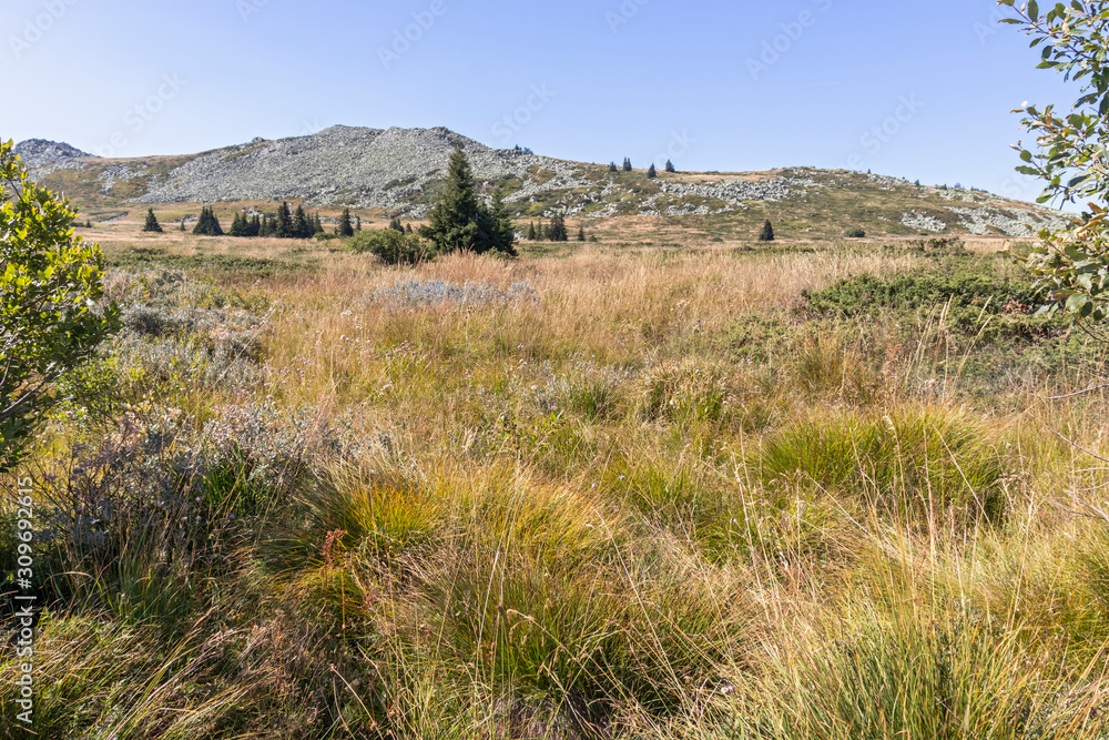 Autumn view of Vitosha Mountain, Bulgaria