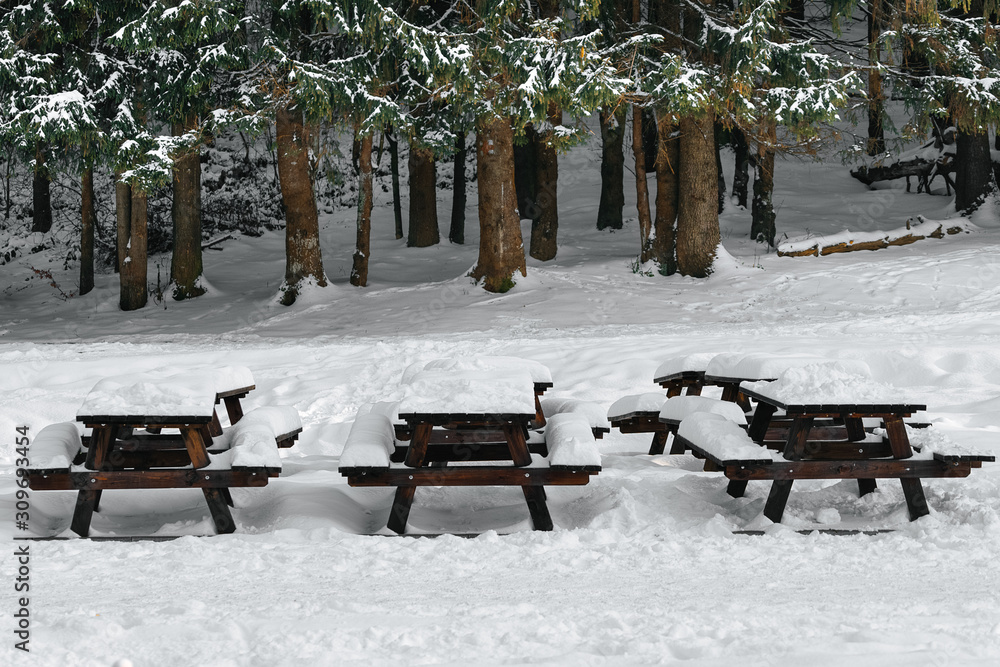 benches in the park in winter