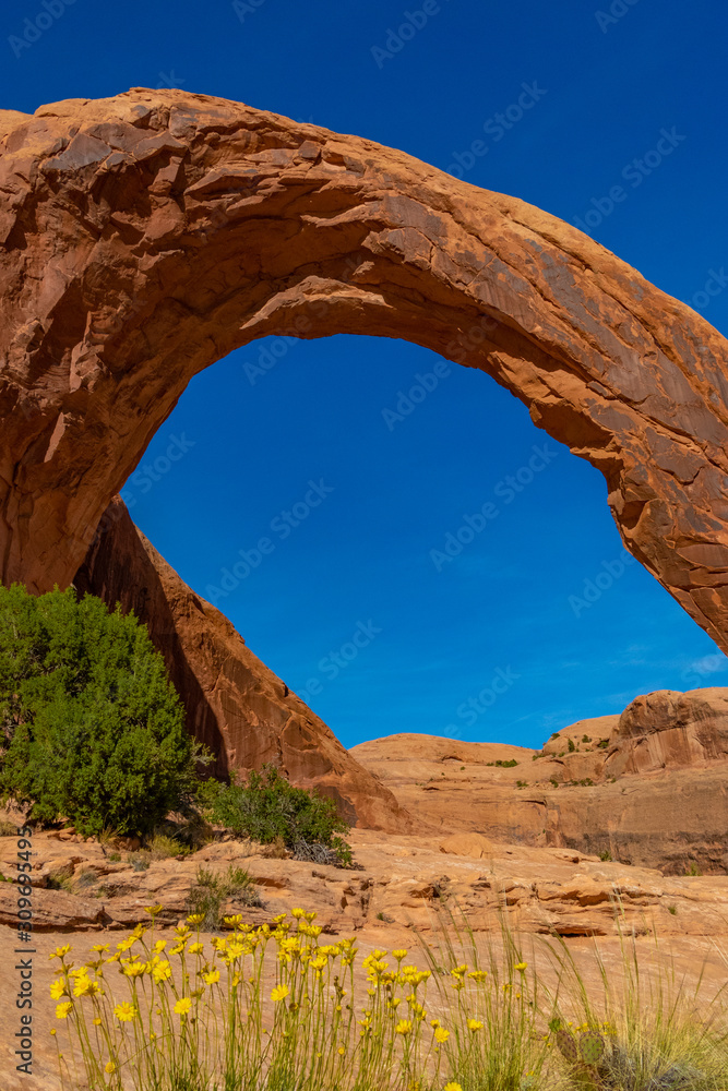 Corona Arch Near Moab Utah