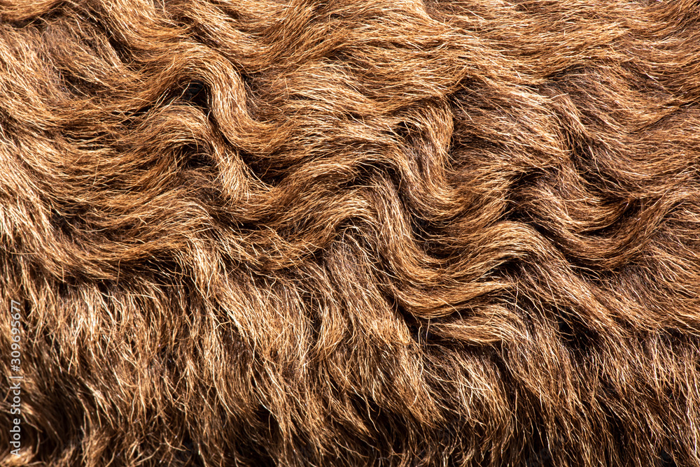 Naklejka premium Fleece brown,Close up of fleece, exture background.