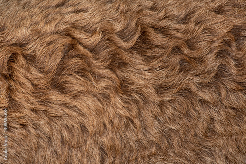 Fleece brown,Close up of fleece, exture background.