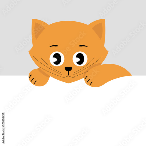 Cat or kitten. Vector illustration with copy space. Flat style