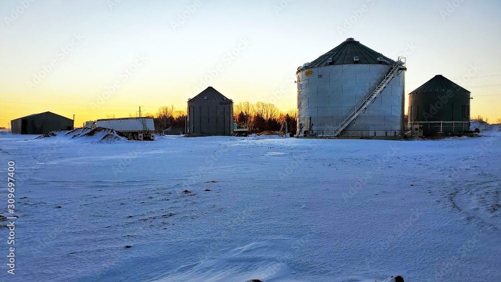 Sunrise Farm Frozen