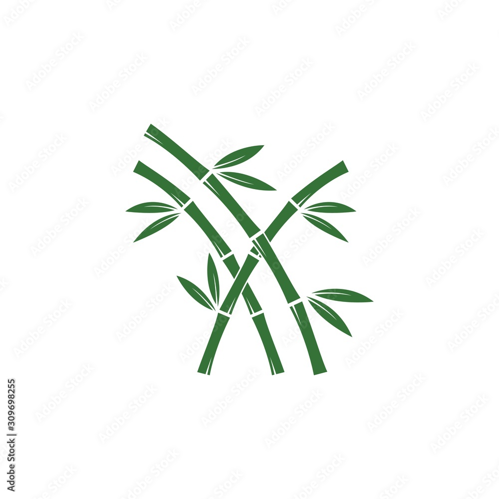 Fototapeta premium Bamboo with green leaf for your logo icon vector template