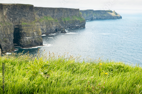 Cliffs of moher with green grassy foreground