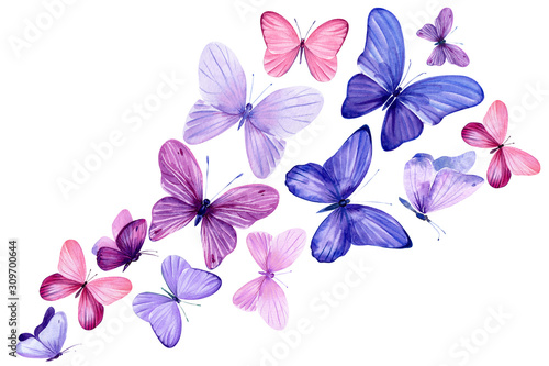swarm of pink and purple butterflies on an isolated white background, watercolor painting photo