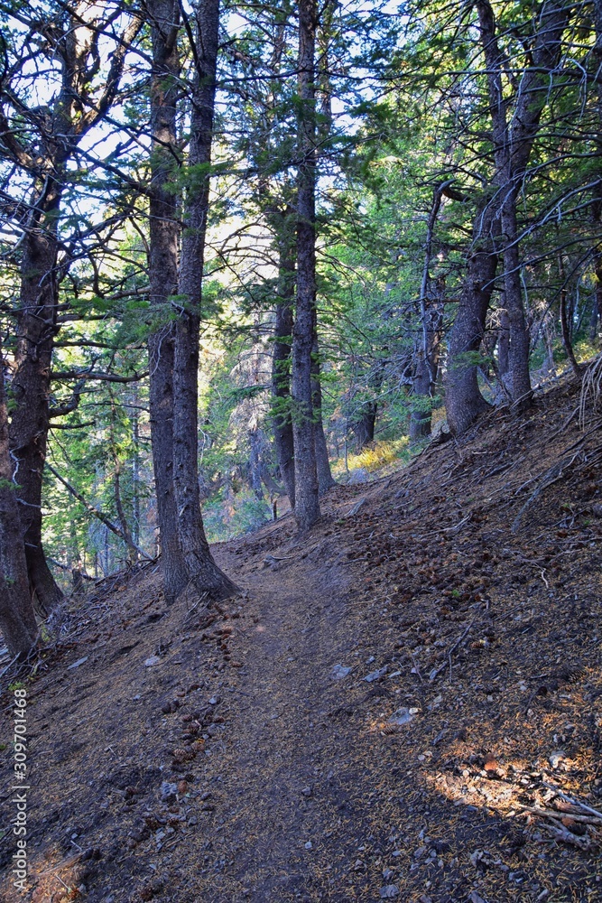 Obraz premium Butterfield canyon hiking path views of the Oquirrh range along the Wasatch Front Rocky Mountains, by Kennecott Rio Tinto Copper mine, Tooele and Salt Lake City fall. Utah, United States.