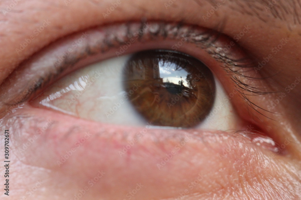 Obraz premium close up of eye