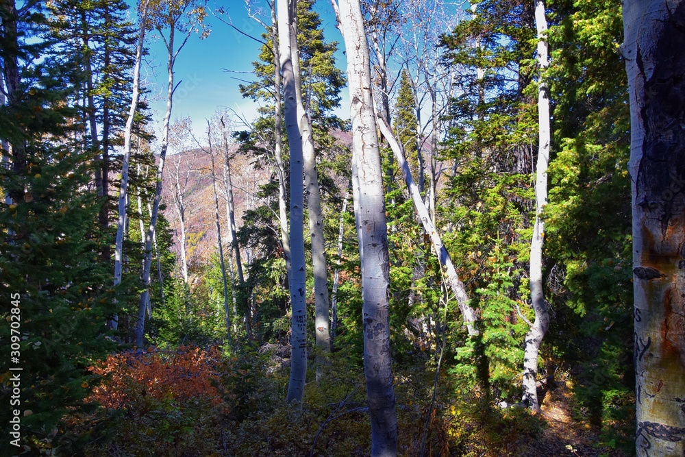 Obraz premium Butterfield canyon hiking path views of the Oquirrh range along the Wasatch Front Rocky Mountains, by Kennecott Rio Tinto Copper mine, Tooele and Salt Lake City fall. Utah, United States.