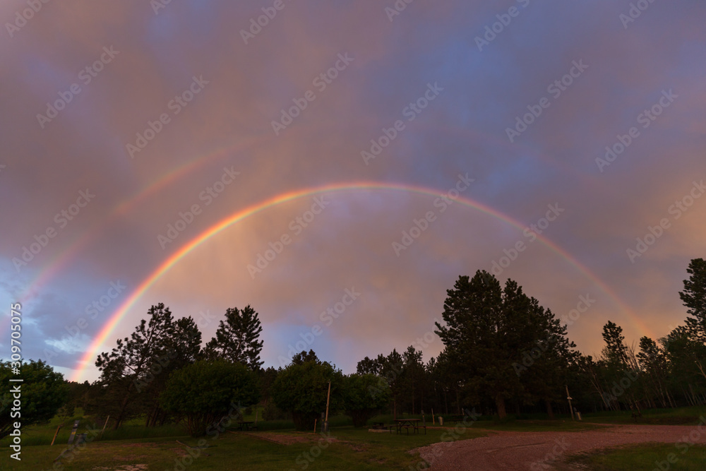 Naklejka premium Double Rainbow over Trees