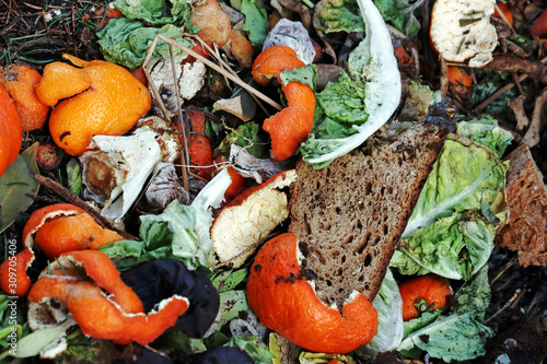 Weggeworfene und verdorbene Lebensmittel auf einem Abfallhaufen photo