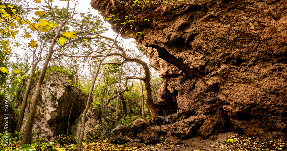 Mediterranean jungle in autumn. National park of the Cabrentá de Estubeny