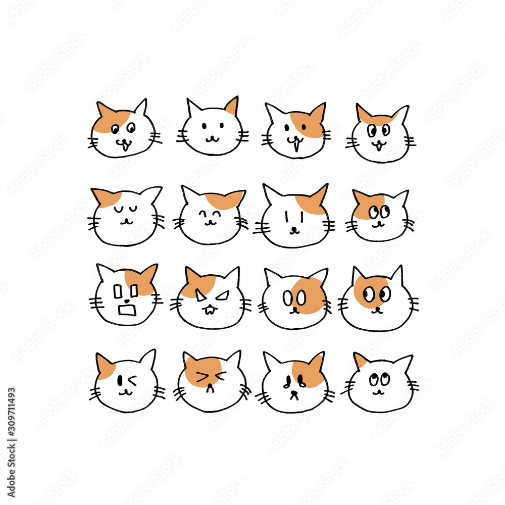 Obraz premium 猫の表情