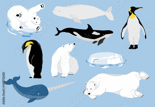 Simple arctic animal with bear polar,penguin,narwhale.Vector illustration character doodle cartoon