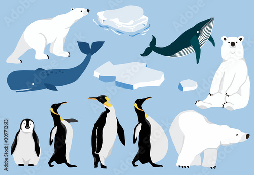 Simple arctic animal with bear polar,penguin,whale.Vector illustration character doodle cartoon