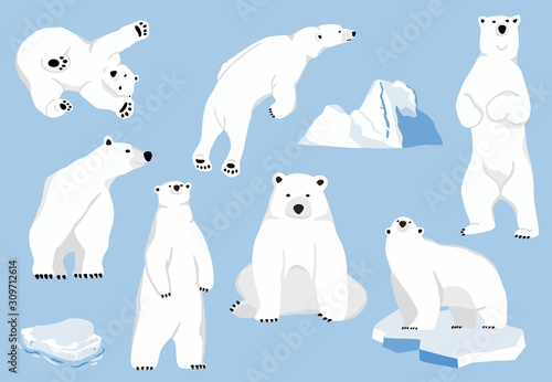 Simple white bear character.Vector illustration character doodle cartoon