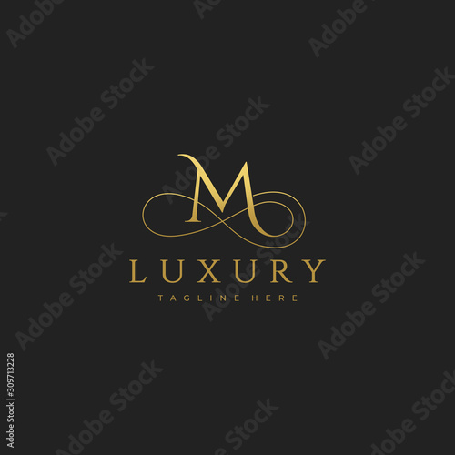 M Luxury Letter Logo Design Vector photo