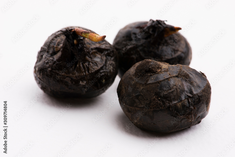 Chinese water chestnut on white Chinese water chestnut on white