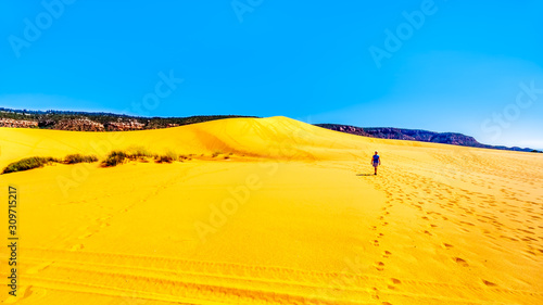 Active Senior Woman hiking the Sand Dunes in the Coral Pink Sand Dunes State Park along Vermilion Cliffs in Kanab County in Utah, United States