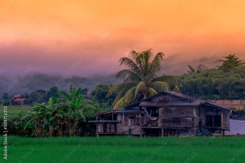 Blurred background of a mountain road view, from a car windscreen that runs with care, with natural scenery surrounded by plants, large trees