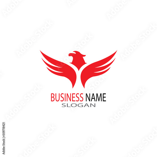 falcon eagle bird logo template vector