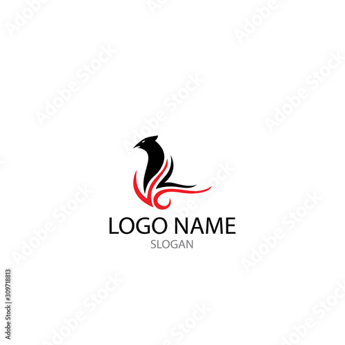 falcon eagle bird logo template vector