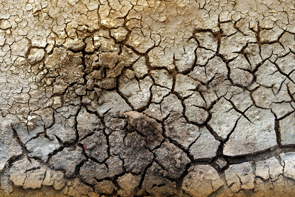 Dry soil cracked Rift due to global warming. with blur focus Dry soil cracked Rift due to global warming. with blur focus