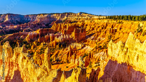 Sunrise over the Vermilion Colored Hoodoos along the Navajo Trail in Bryce Canyon National Park, Utah, United States