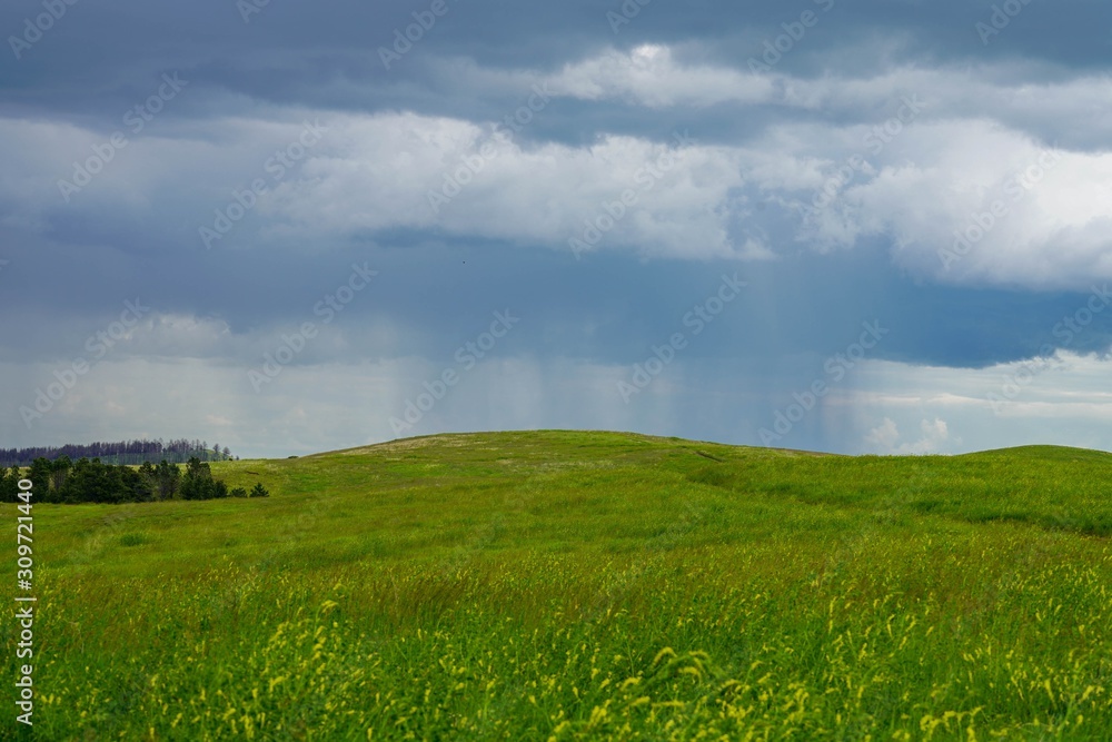 field of green grass and blue sky with rain clouds
