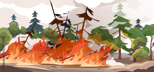Forest fire. Burning spruces and oak trees, wood plants in flame and smoke, nature disaster cartoon illustration. Vector poster flame in nature outdoor, save environment from burn woods