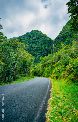 Mountain road lined with dense and humid vegetation leading to the Takamaka dam with a waterfall in the background