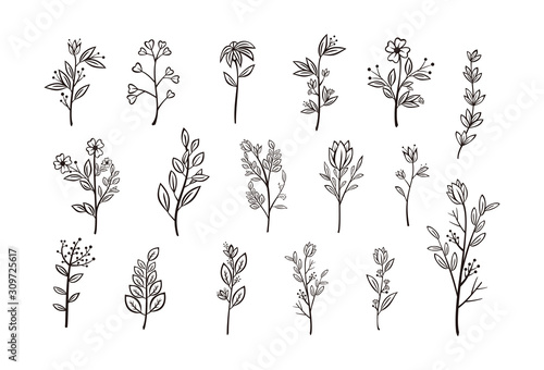 Beautiful hand drawn floral vector collection