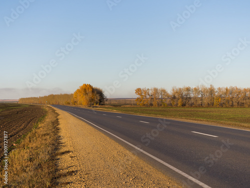 Asphalt road. Plains of South Siberia. Autumn sunny day. Asphalt Tape Goes to the Horizon