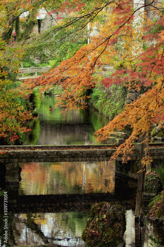 滋賀県米原市醒ヶ井の地蔵川と紅葉の風景 © 眞