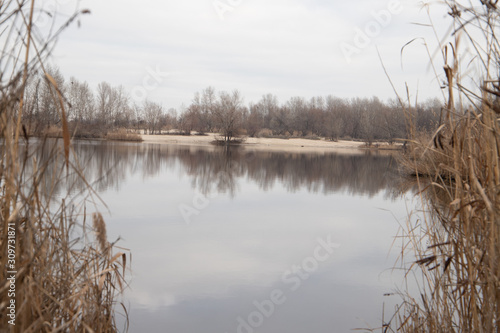 Lake Shore with bulrush closeup in Ukraine